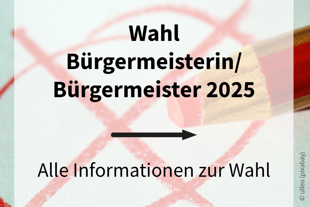 Bürgermeisterwahl | © ulleo (pixabay)
