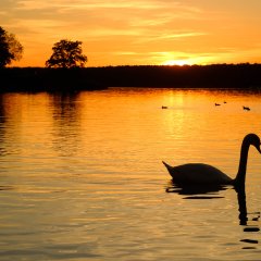Lake Stienitz
