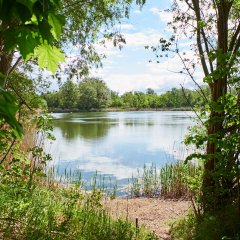 Herzfelde quarry