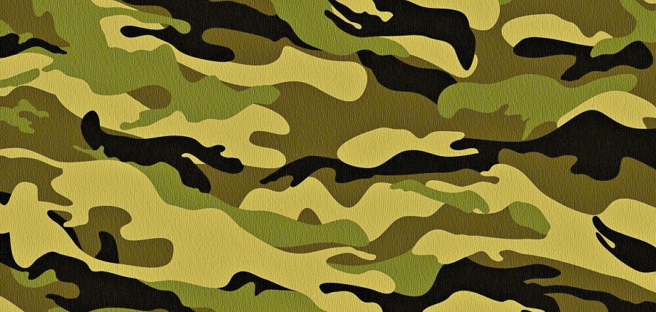 Specialised basic training