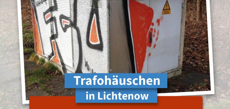 Motif suggestions wanted for the transformer house in Lichtenow