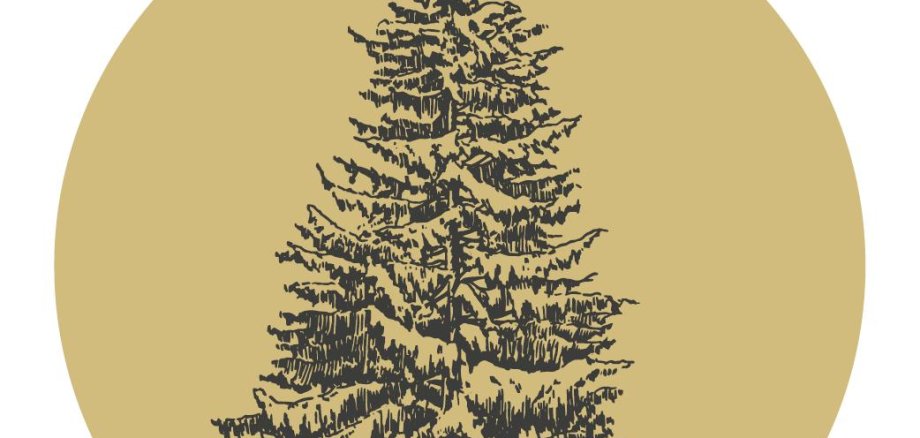 Fir trees wanted for public spaces