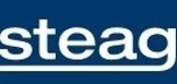 STEAG's Environmental Statement 2022