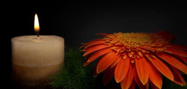 Remembrance Day