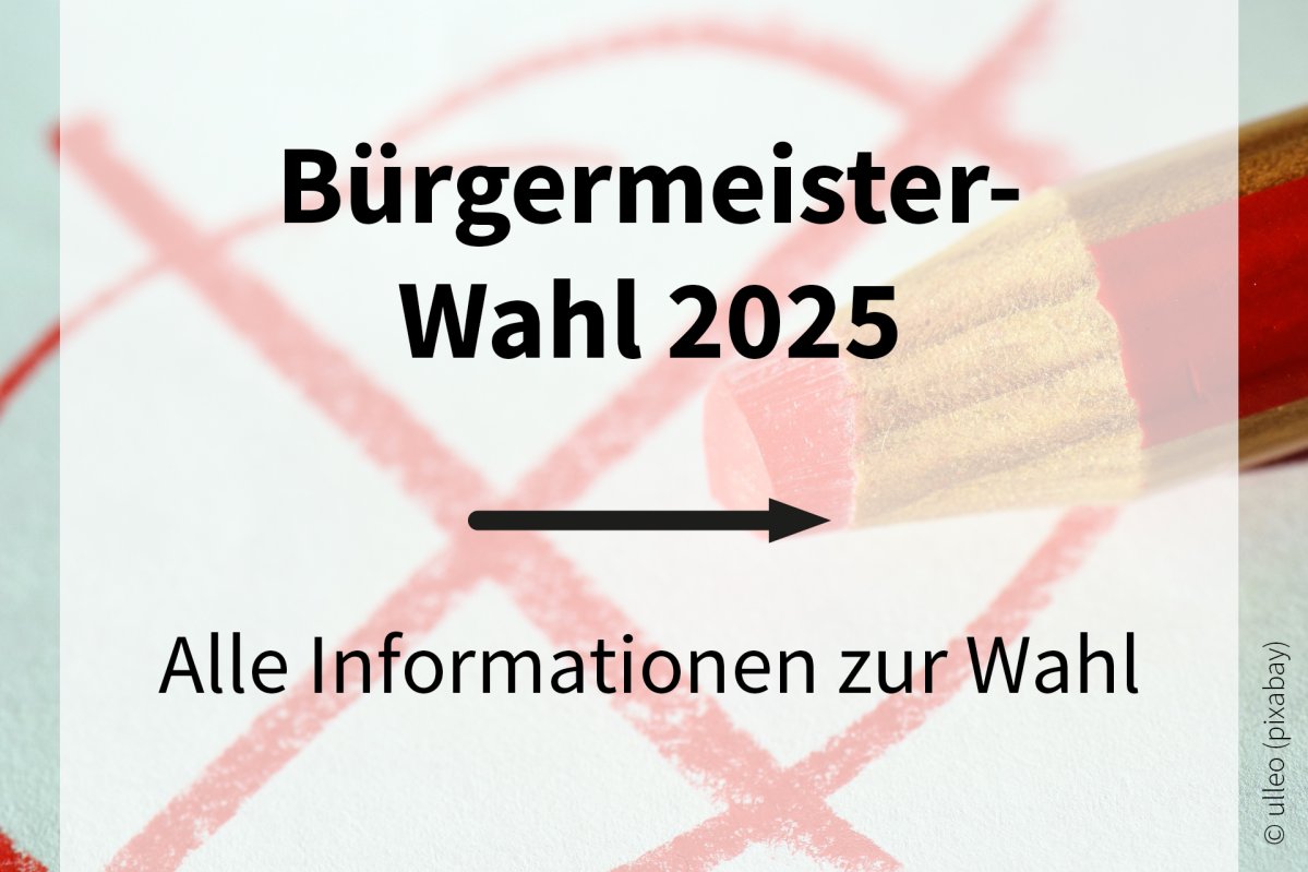 Bürgermeisterwahl | © ulleo (pixabay)