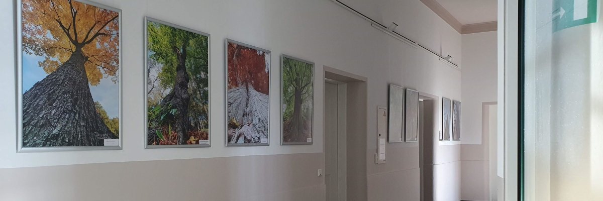 Town hall exhibition