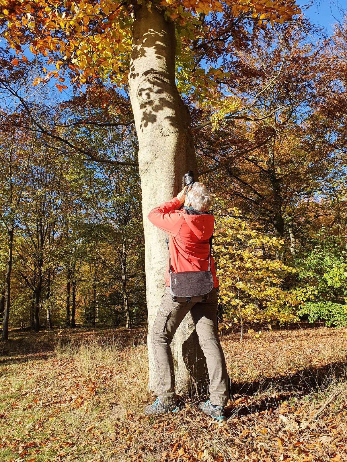 Bärbel Fischer fotografiert einen Baum