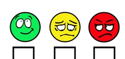 Bürgerbefragung 2011