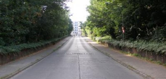 Renewal of the palisades in Friedrich-Engels-Ring