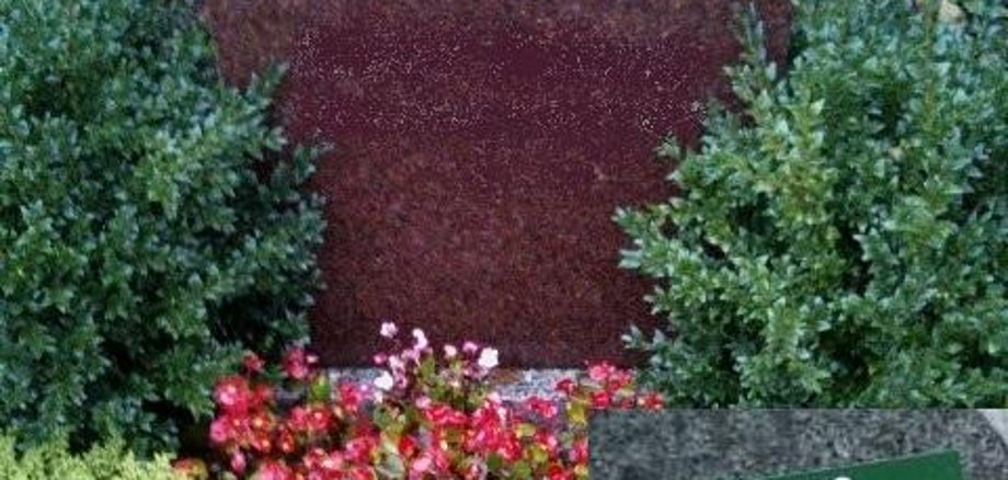 Information on gravestone inspection