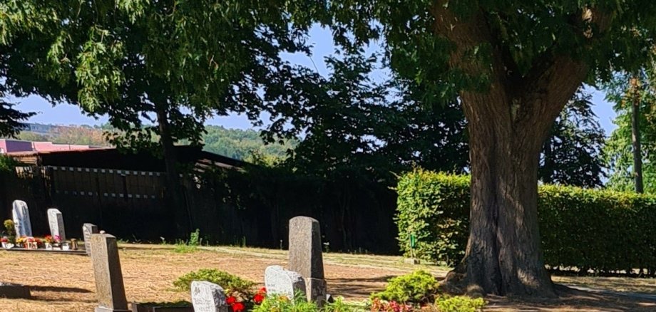 Water taps turned on in the cemeteries