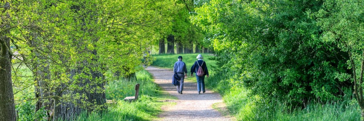 Les seniors dans le parc