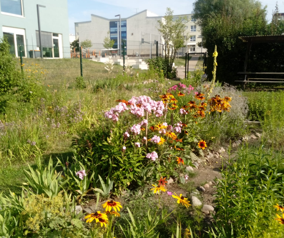 Bilder für den Veranstaltungskalender der Stadt Rüderdorf - 1