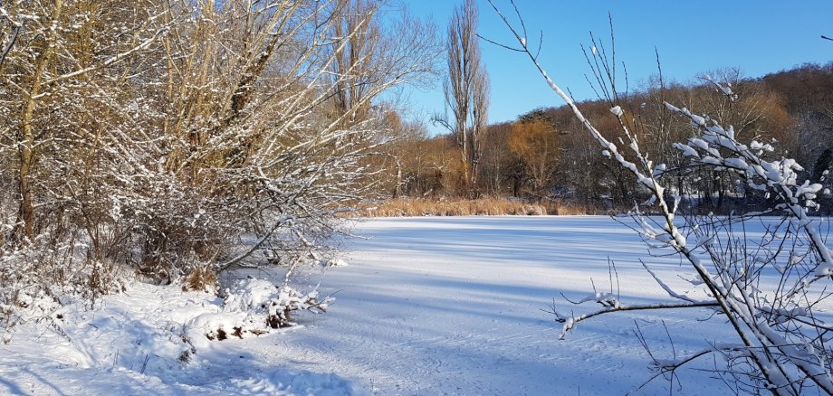 Avertissement : glace sur nos eaux