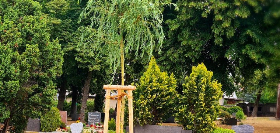 Nouveaux bancs dans les cimetières