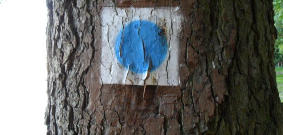 Réhabilitation de la digue de Hennickendorf - BLOCAGE