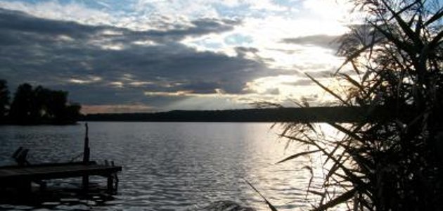 Czterech zwycięzców najwyższej klasy i bezpłatna przyjemność z obcowania ze sztuką w Hennickendorf