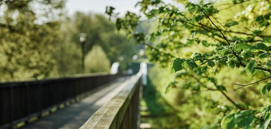 Entsorgung von Grünabfällen