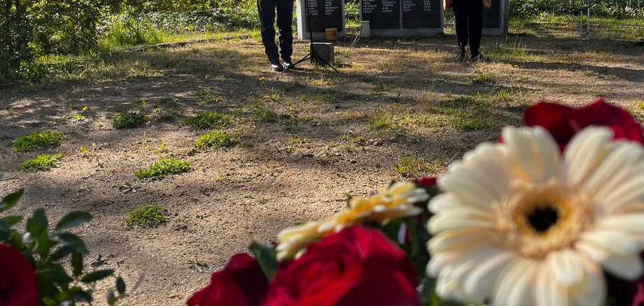 До чого це все веде - промова мера на День визволення