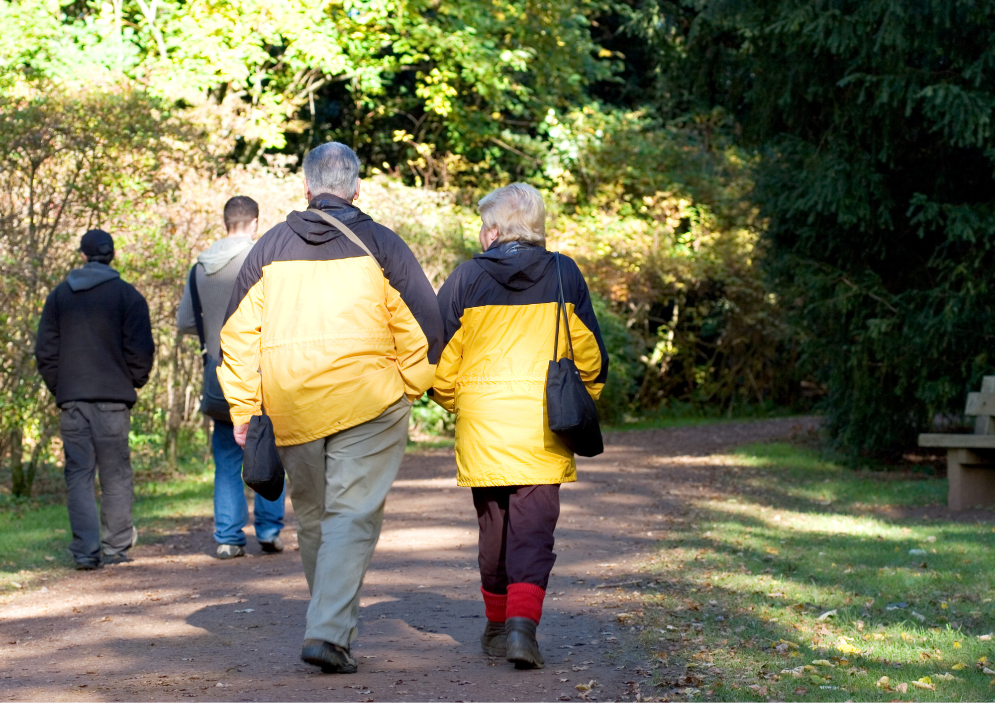 Sharepics для Facebook (A4 (альбомний формат)) - 1