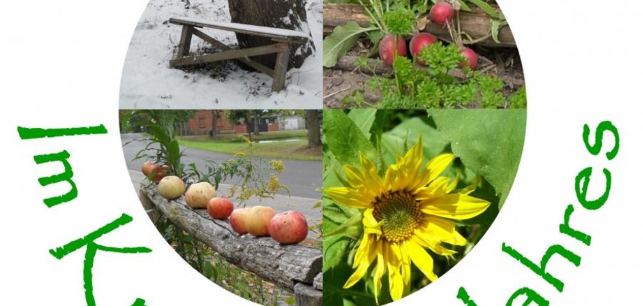 Катя Марзан