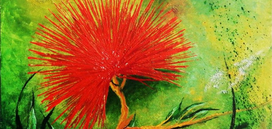 Bottlebrush Callistemon