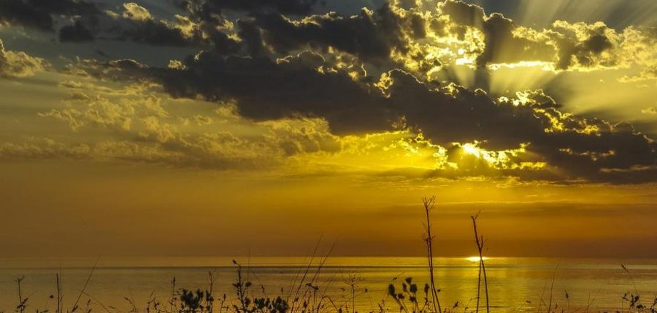 Відкриття фотовиставки "Хмарні пейзажі та відображення"