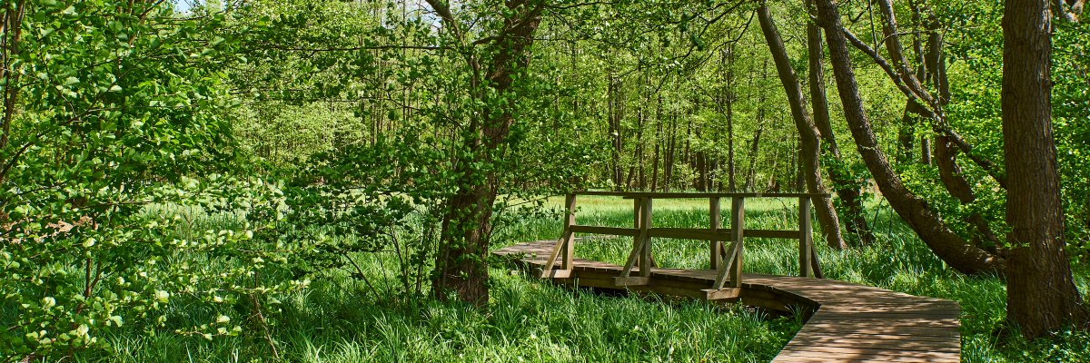 Wolken am blauen Himmel