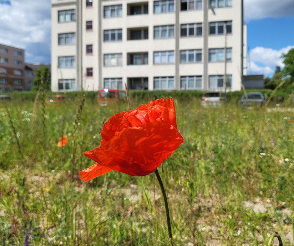 Bilder für den Veranstaltungskalender der Stadt Rüderdorf - 1 Bilder für den Veranstaltungskalender der Stadt Rüderdorf - 1