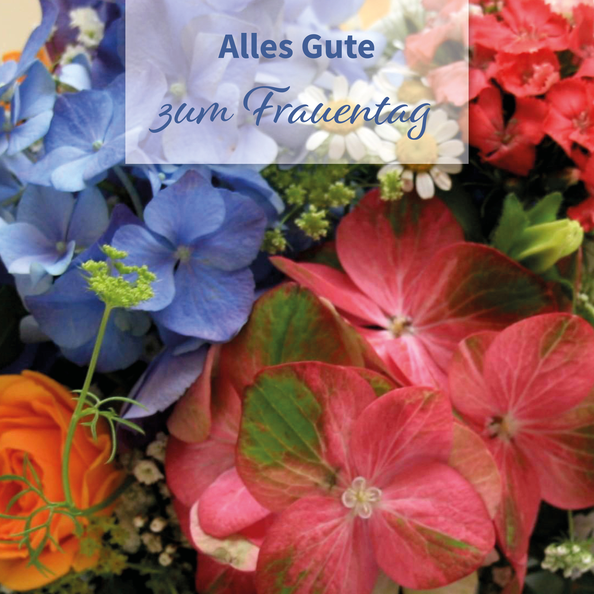 Alles Gute zum Frauentag!