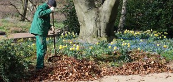 Aufruf zum Frühjahrsputz in der Gemeinde Rüdersdorf bei Berlin