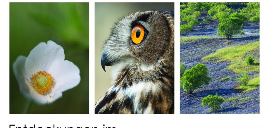 Ausstellungseröffnung „Flora, Fauna, Habitat – Entdeckungen im Kalksteintagebau Rüdersdorf“