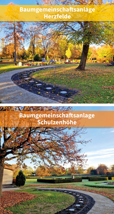 Baumgemeinschaftsanlagen