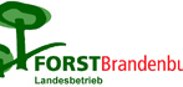 Besondere Gefahrenlagen beim Betreten des Waldes
