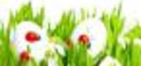 Frohe Ostern