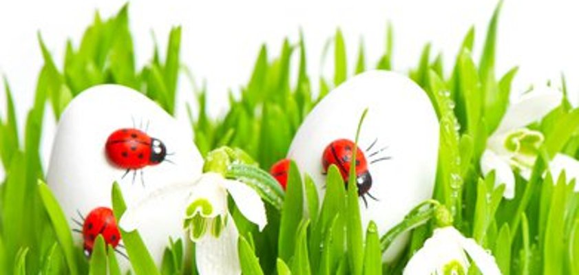 Frohe Ostern