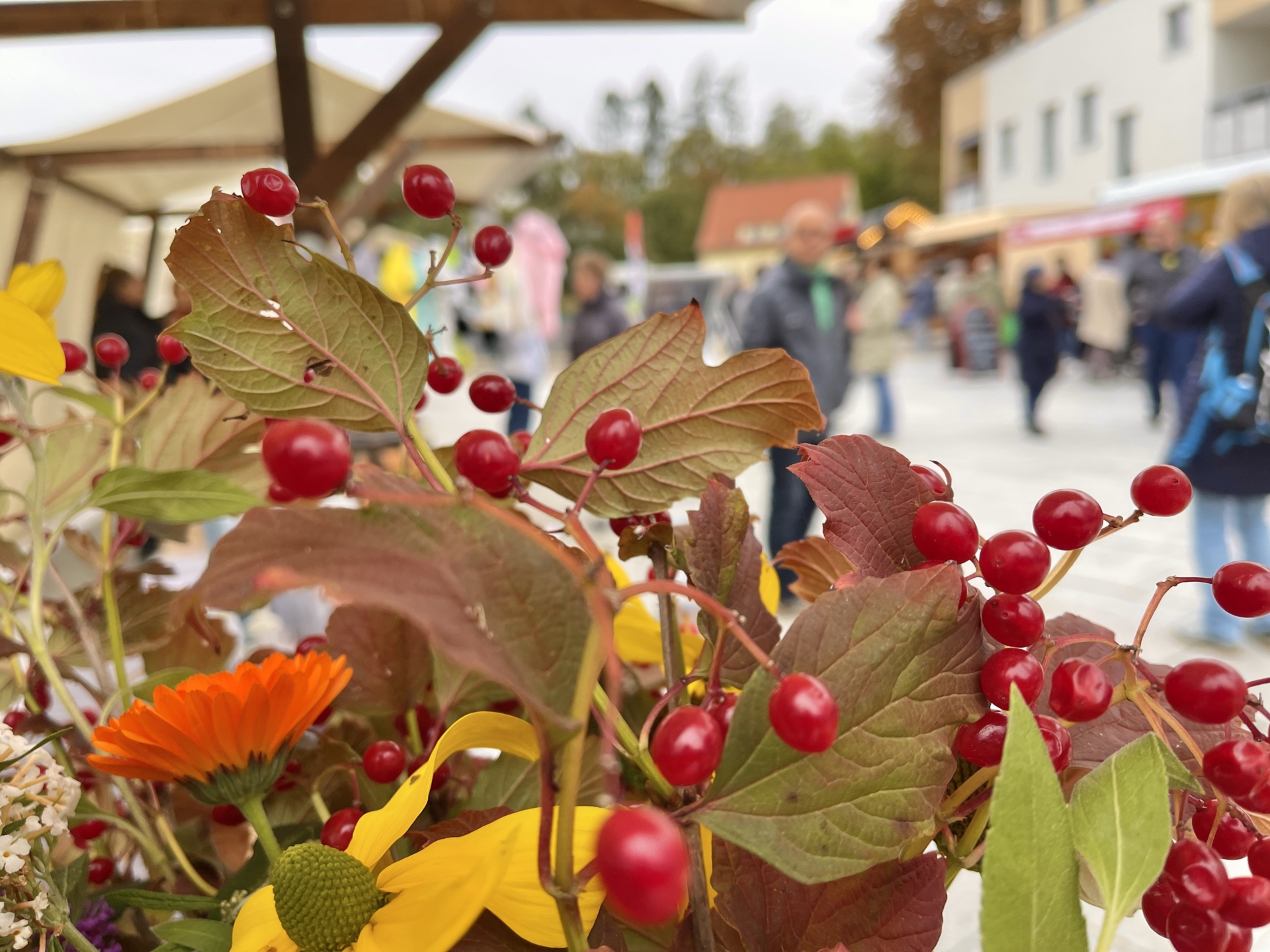 Fotos © Stephen Ruebsam