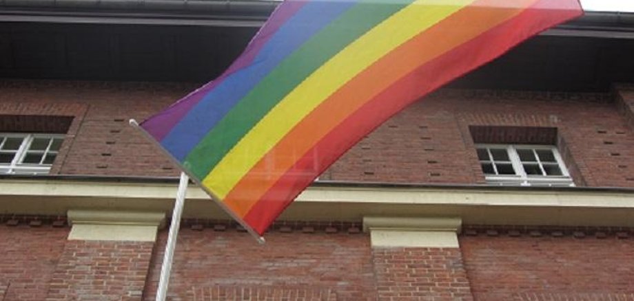 Internationaler Tag gegen Homophobie 2017