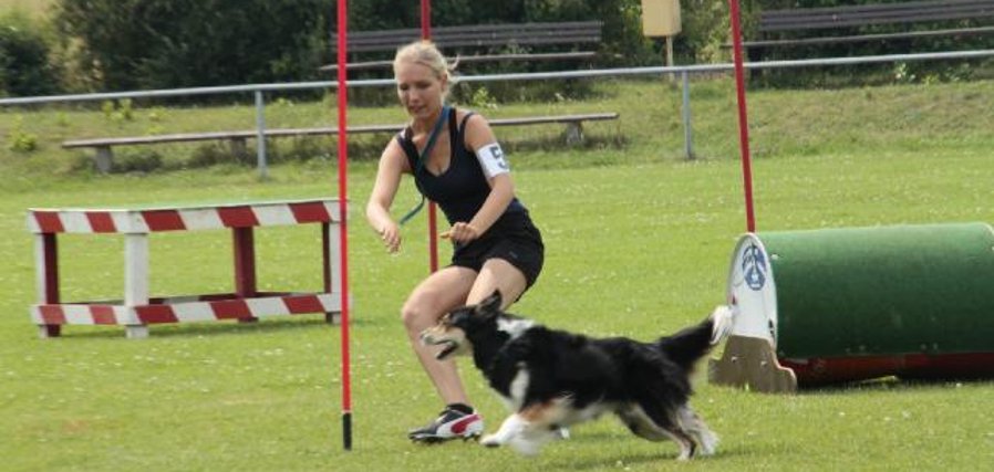 Meisterschaft im Turnierhundsport des Sport- und Gebrauchshundesport-Verband (SGSV)