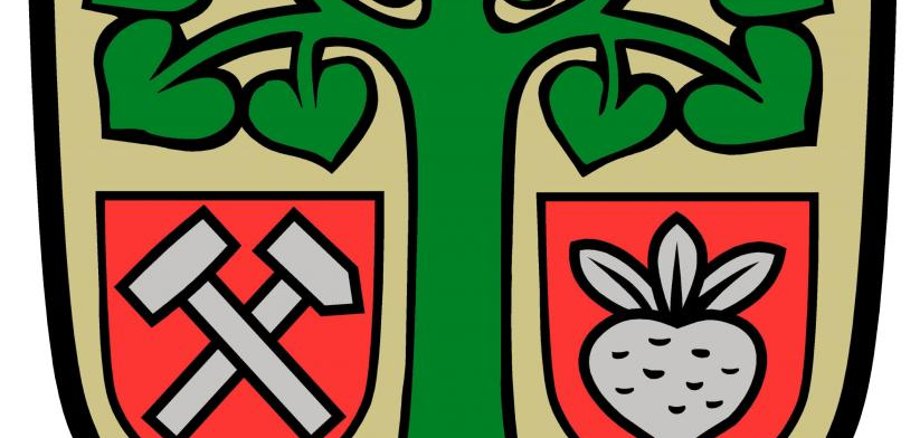 Spritzung gegen Eichenprozessionsspinner