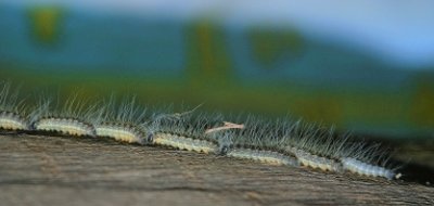 Bildquelle: Albrecht E. Arnold / PIXELIO (www.pixelio.de)