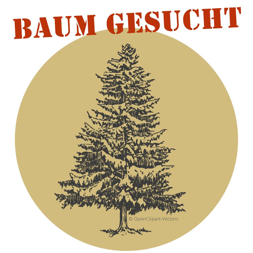 Tannenbäume für öffentliche Plätze gesucht