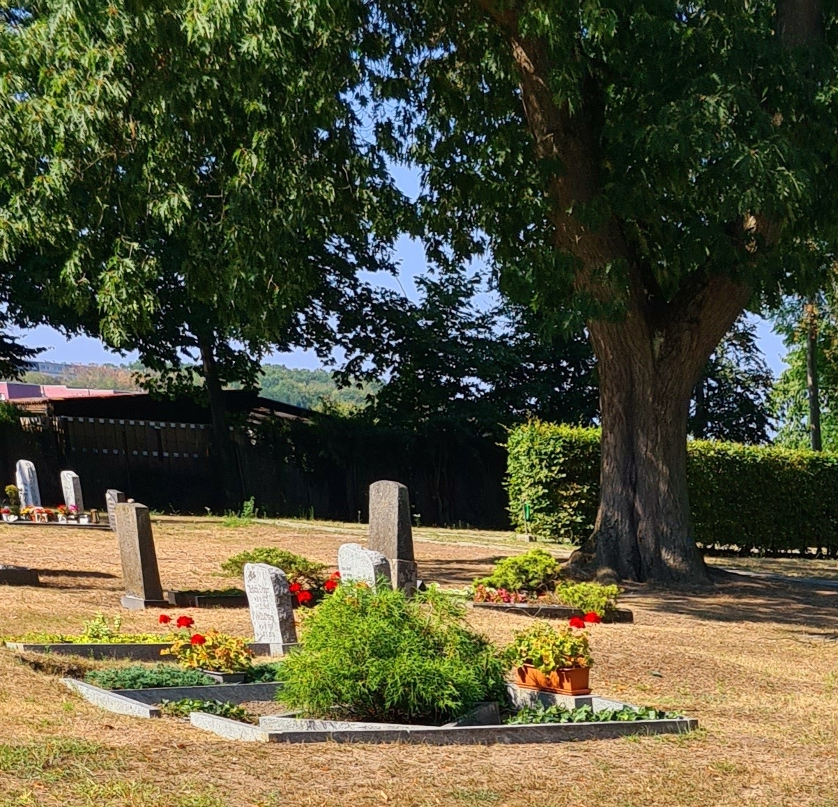 Wasserhähne auf den Friedhöfen angestellt