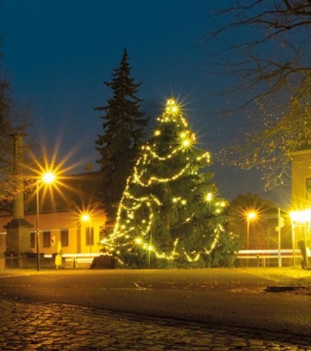 Weihnachtsbaum gesucht
