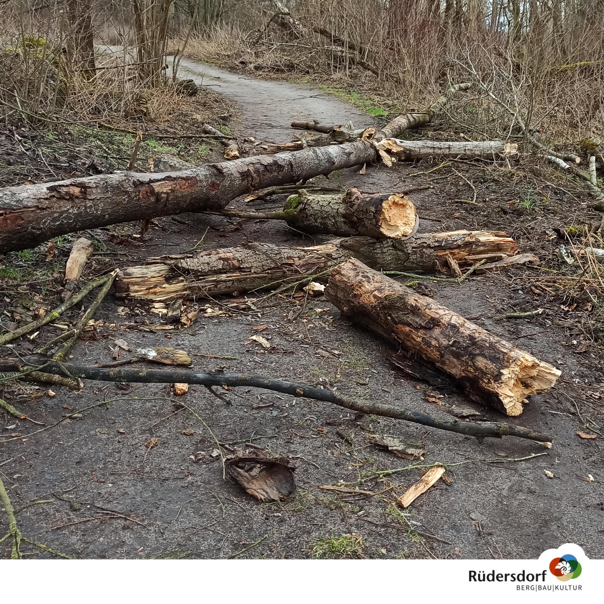 Weiterhin Gefahr auf Wald- und Wanderwegen